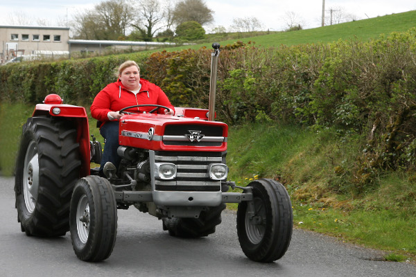 001 Vintage Massey Ferguson 135.jpg